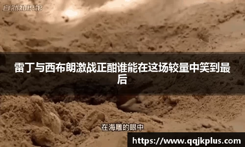 雷丁与西布朗激战正酣谁能在这场较量中笑到最后